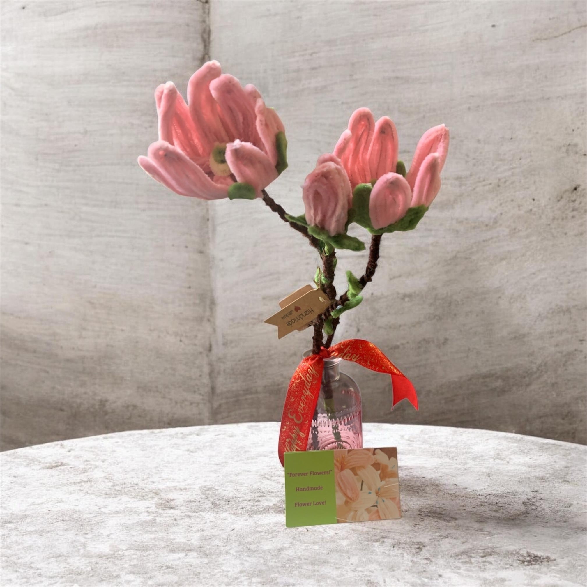 Two Pink Lovely Tulips with pink bulbs