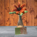 Burnt Orange Sun flower with green leaves
