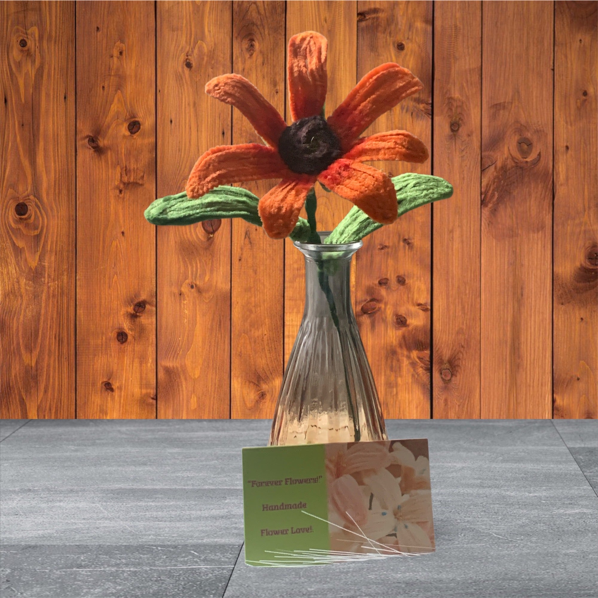 Burnt Orange Sun flower with green leaves