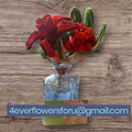 Cherry Red Amaryllis Flowers Bouquet with large green leaves