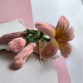 Pink Passion Lily