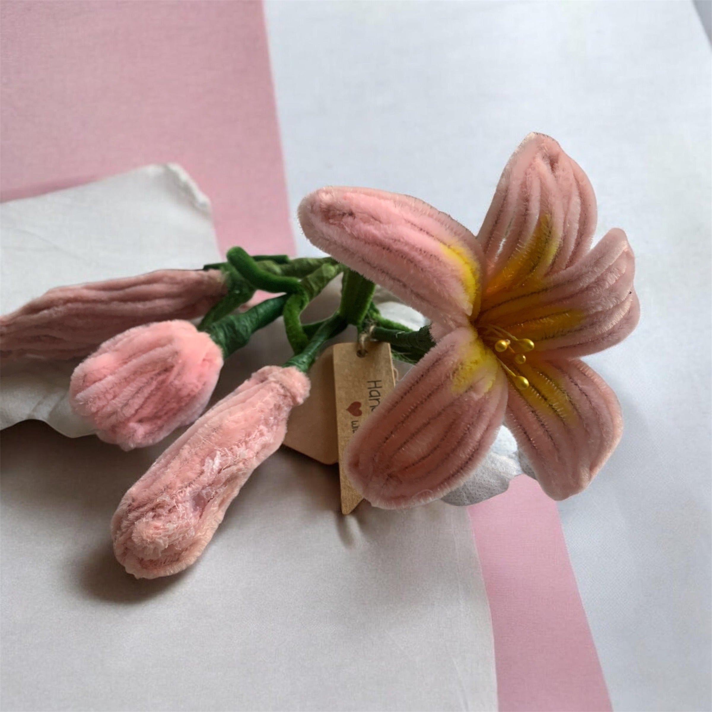 Pink Passion Lily